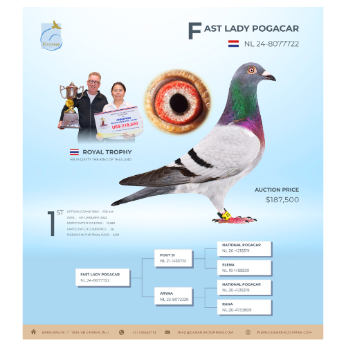 Public Release Design